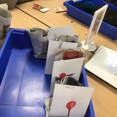 Making newspaper pots.