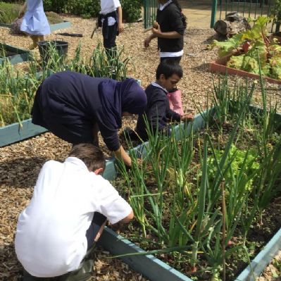 Tackling the weeds!