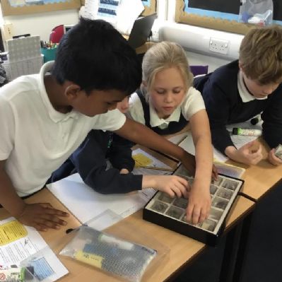 Rocks lesson1- We had fun looking at different types of rocks and describing them. We had a go at sorting them into hard and soft rocks.